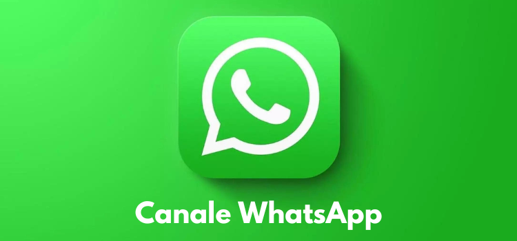 Canale WhatsApp del Comune di Gualtieri