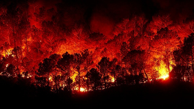 Campagna antincendi boschivi (AIB) 2024